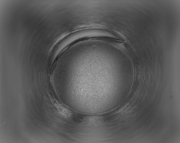 X0000054461163200508011454