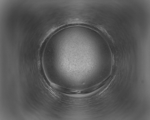 X0000054461167200508011454