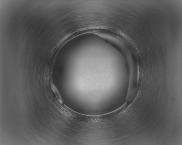 X0000054461169200508011454