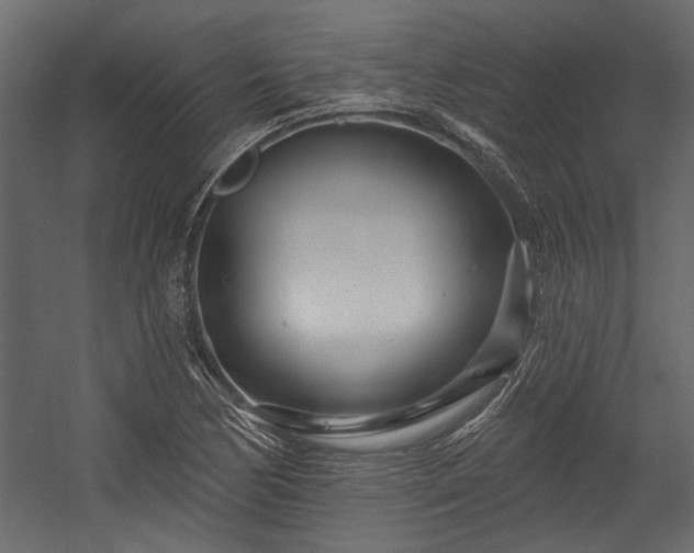 X0000054461170200508011454