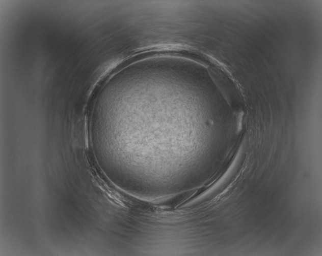 X0000054461171200508011454