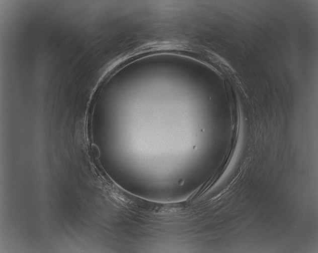 X0000054461174200508011454