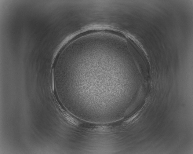 X0000054461175200508011453