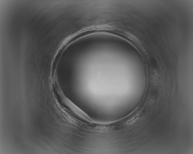 X0000054461176200508011453