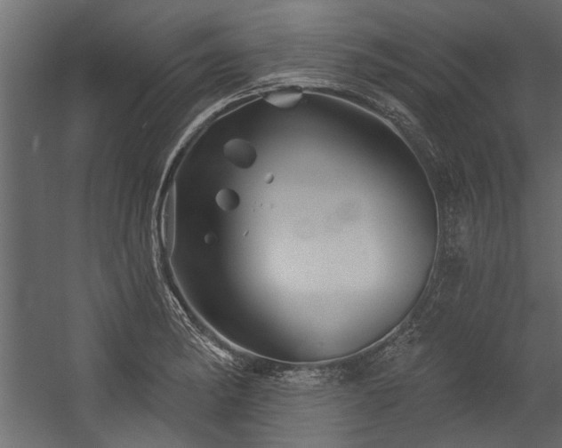 X0000054461182200508011453