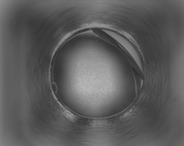 X0000054461183200508011453