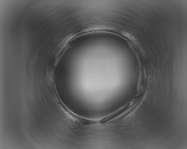 X0000054461185200508011453