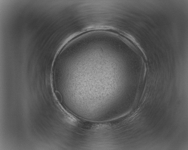 X0000054461187200508011453