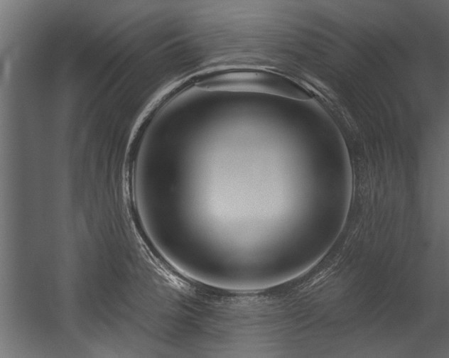 X0000054461188200508011453