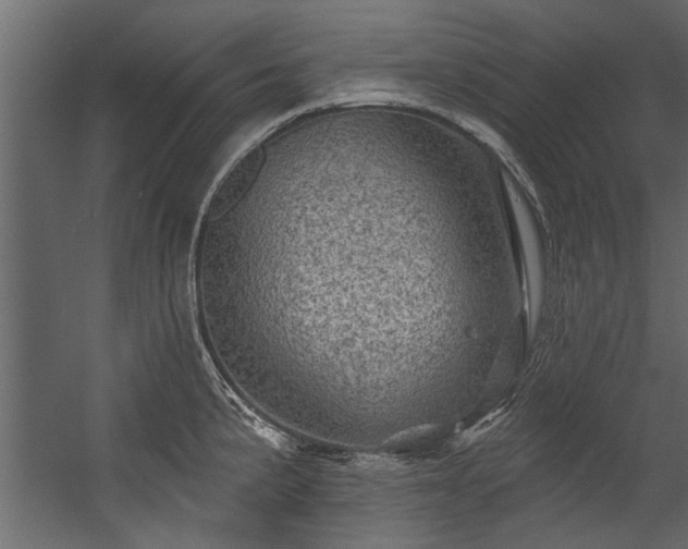 X0000054461191200508011453