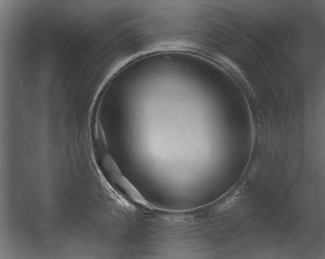 X0000054461192200508011453