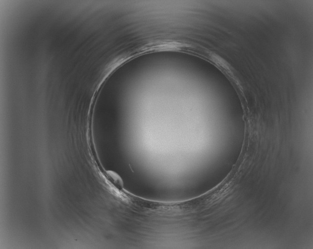 X0000054461194200508011453