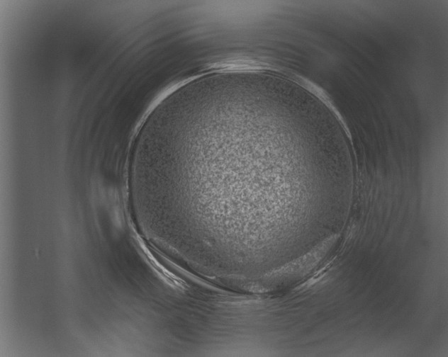 X0000054461195200508011453