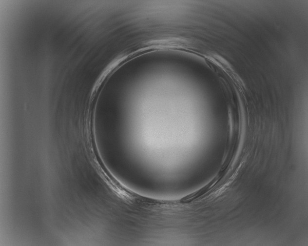 X0000054461196200508011453