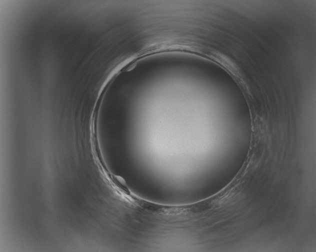 X0000054461198200508011453