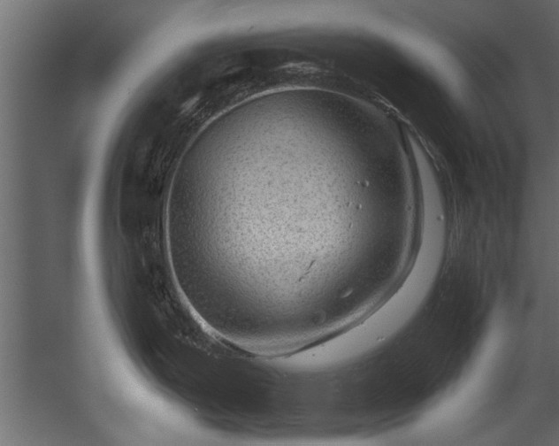 X0000054461199200508011453