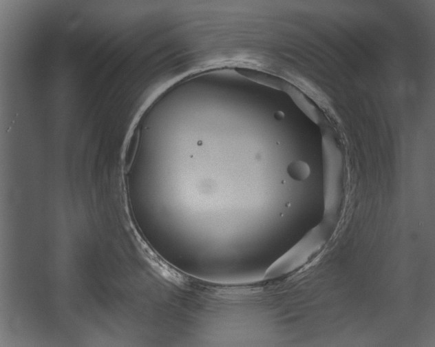 X0000054461200200508011453