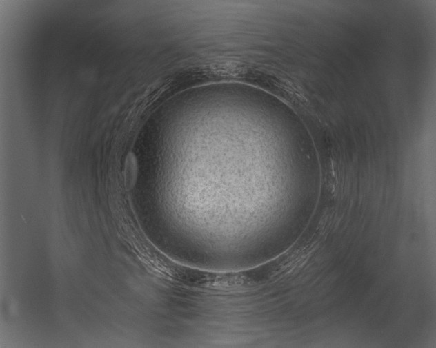 X0000054461201200508011452