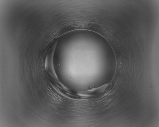 X0000054461202200508011452