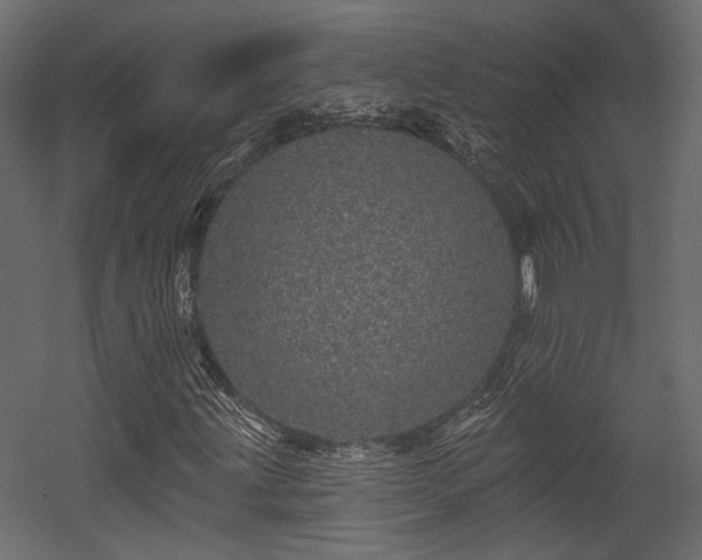 X0000054461203200508011452