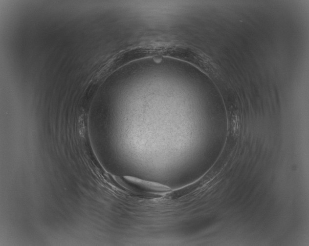 X0000054461204200508011452