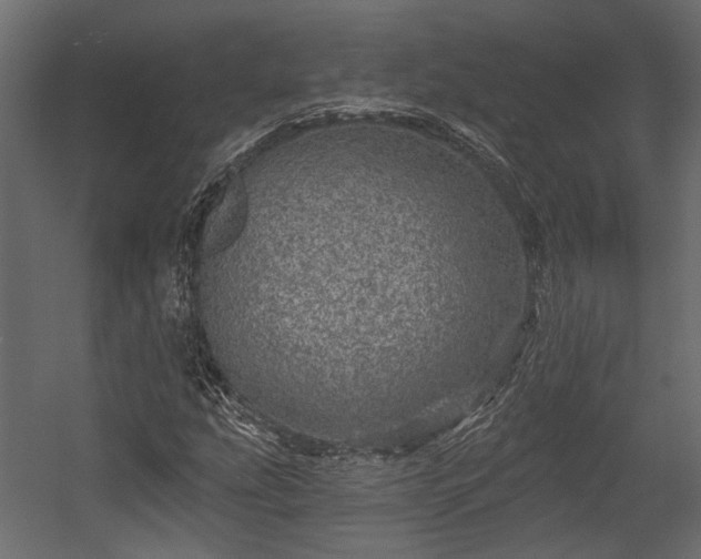 X0000054461207200508011452