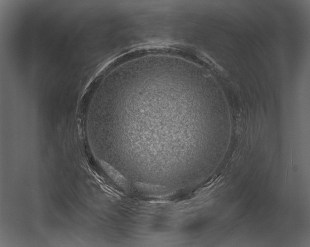 X0000054461208200508011452