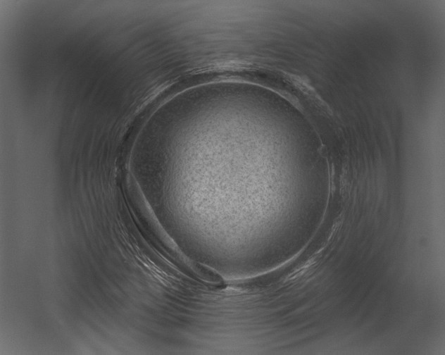 X0000054461209200508011452