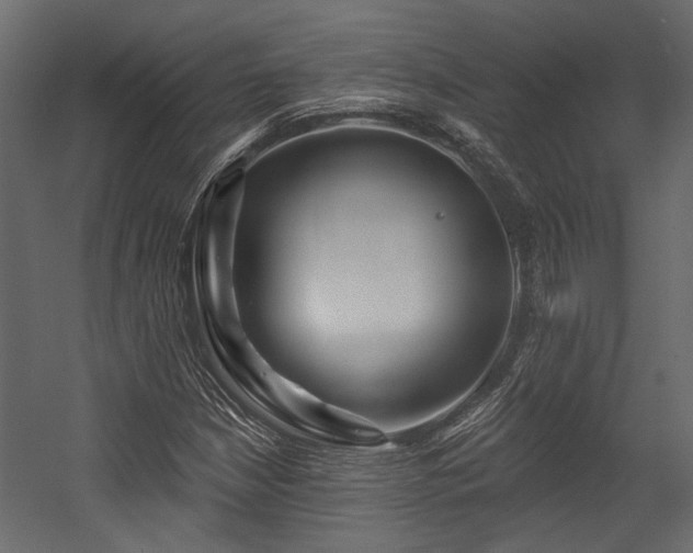 X0000054461210200508011452