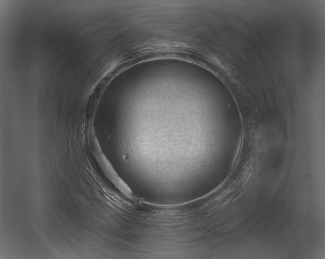 X0000054461211200508011452