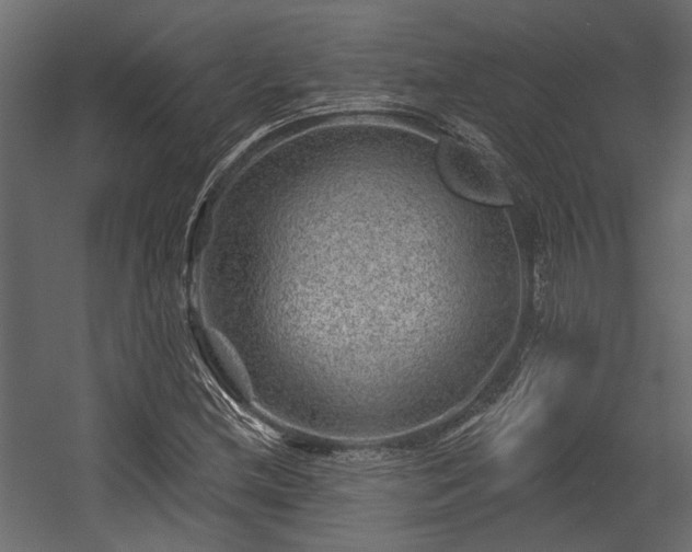 X0000054461212200508011452