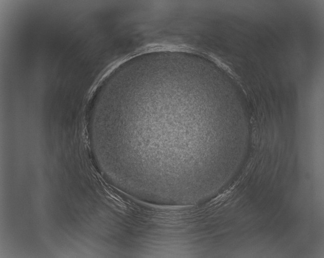 X0000054461215200508011452