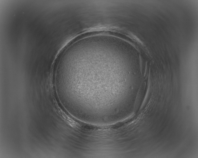 X0000054461216200508011453