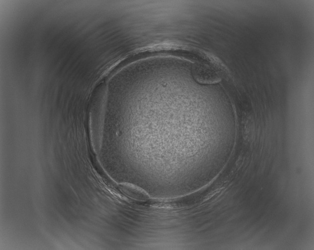 X0000054461217200508011453