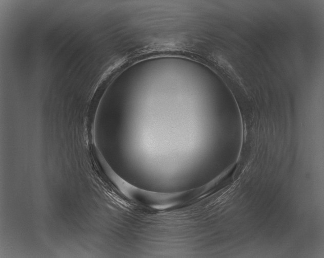 X0000054461218200508011453