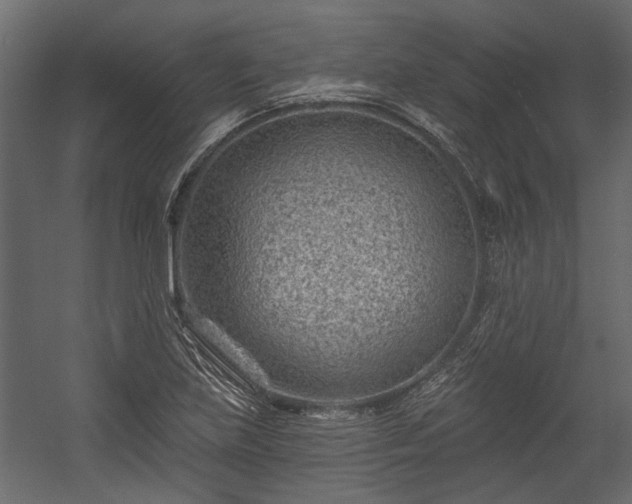 X0000054461219200508011453