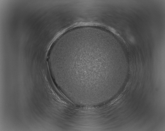 X0000054461221200508011453