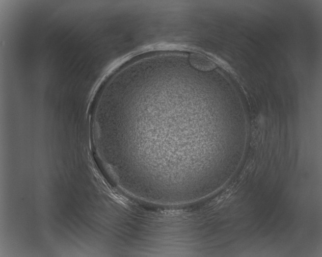 X0000054461223200508011453