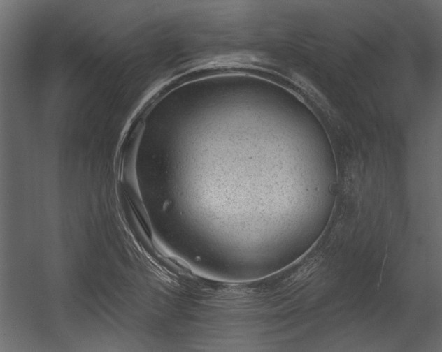 X0000054461224200508011453