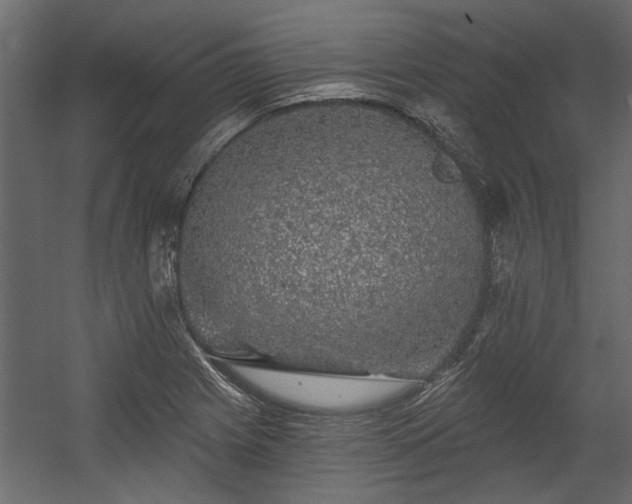 X0000054461225200508011453