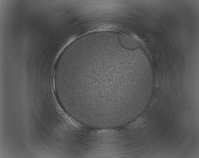 X0000054461227200508011453