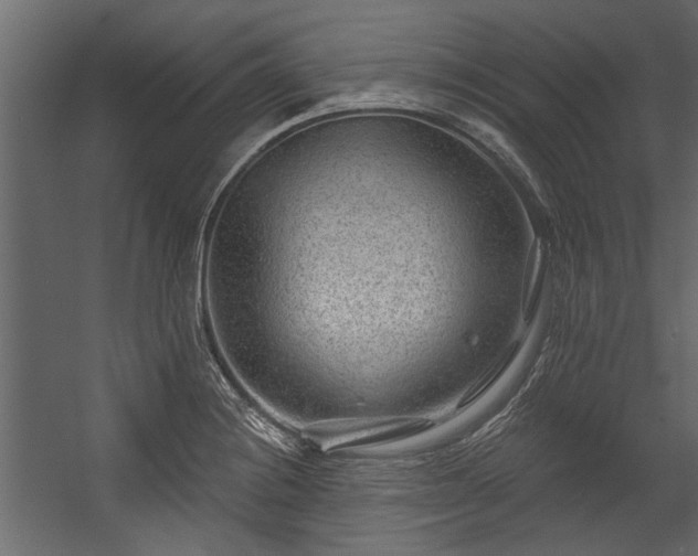 X0000054461228200508011453