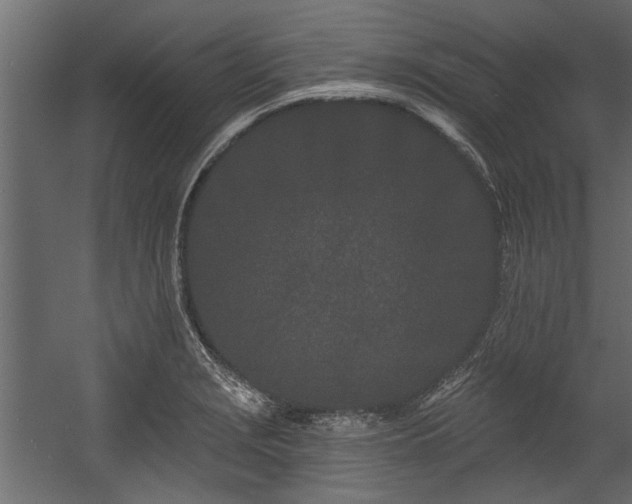 X0000054461229200508011453