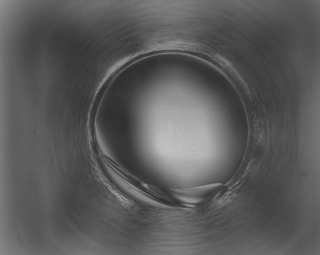 X0000054461230200508011453