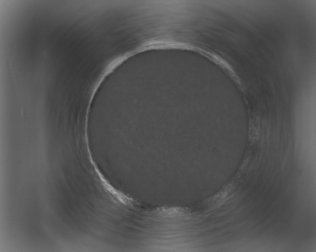 X0000054461231200508011453