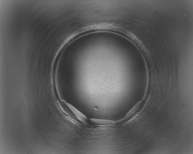 X0000054461232200508011453