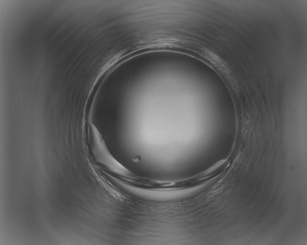 X0000054461234200508011453