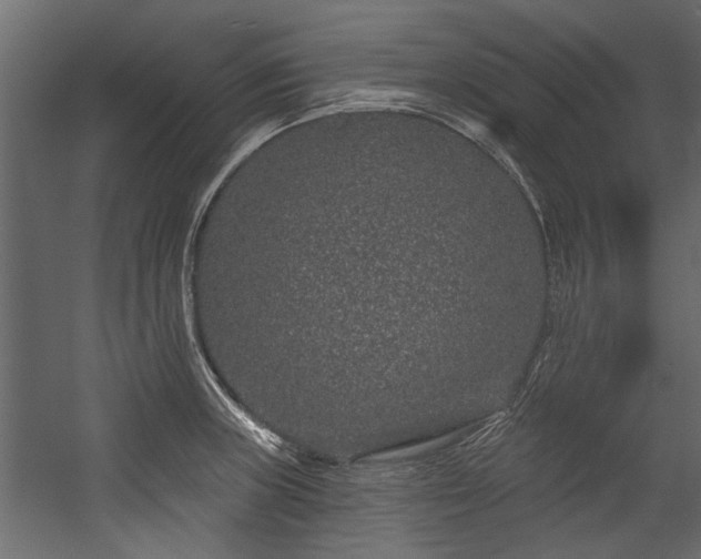 X0000054461235200508011453