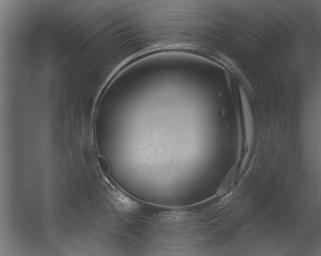 X0000054461236200508011453