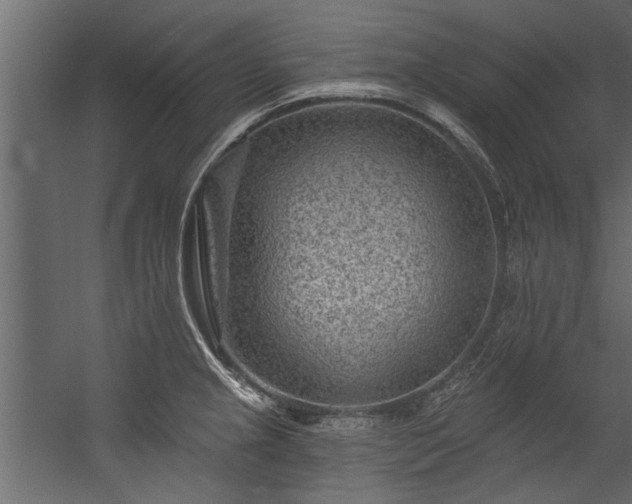 X0000054461237200508011453